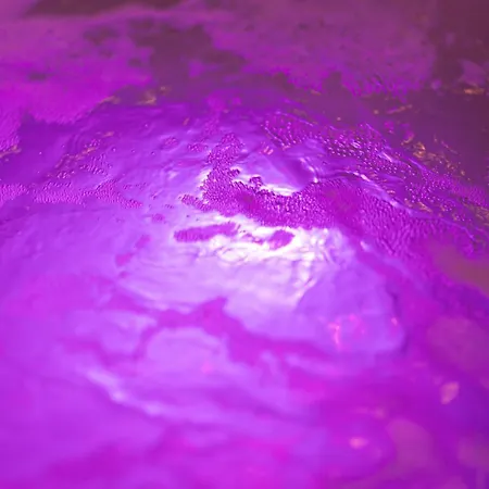 Suite16 & Panzió 4*