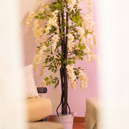 Suite16 & Bed and Breakfast Μπαρλέτα